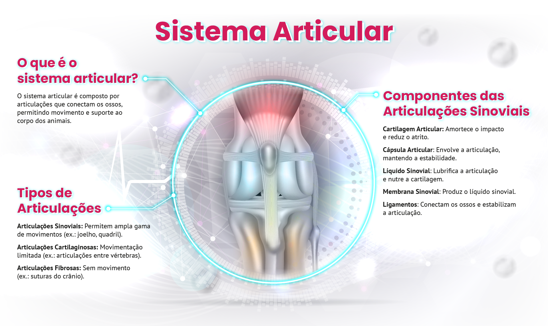 Imagem do infográfico